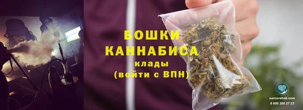 СК Бронницы