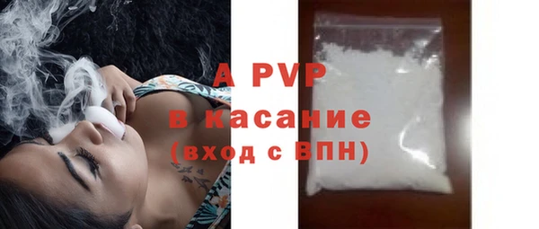 СК Бронницы
