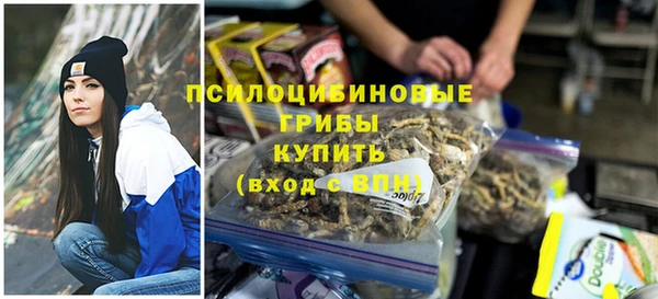 СК Бронницы